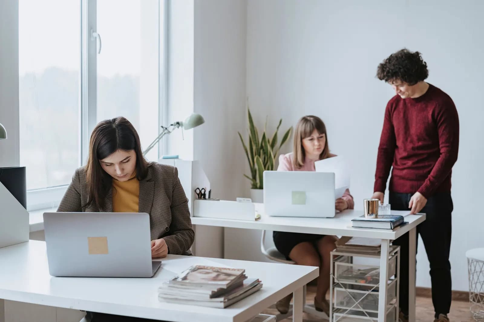 Three colleagues working at laptops and reading papers in a bright office with large windows
